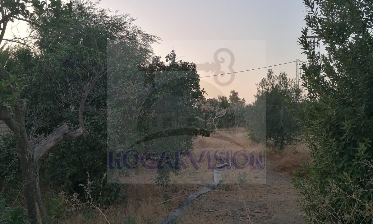 WhatsApp Image 2022-08-11 at 9.09.01 PM