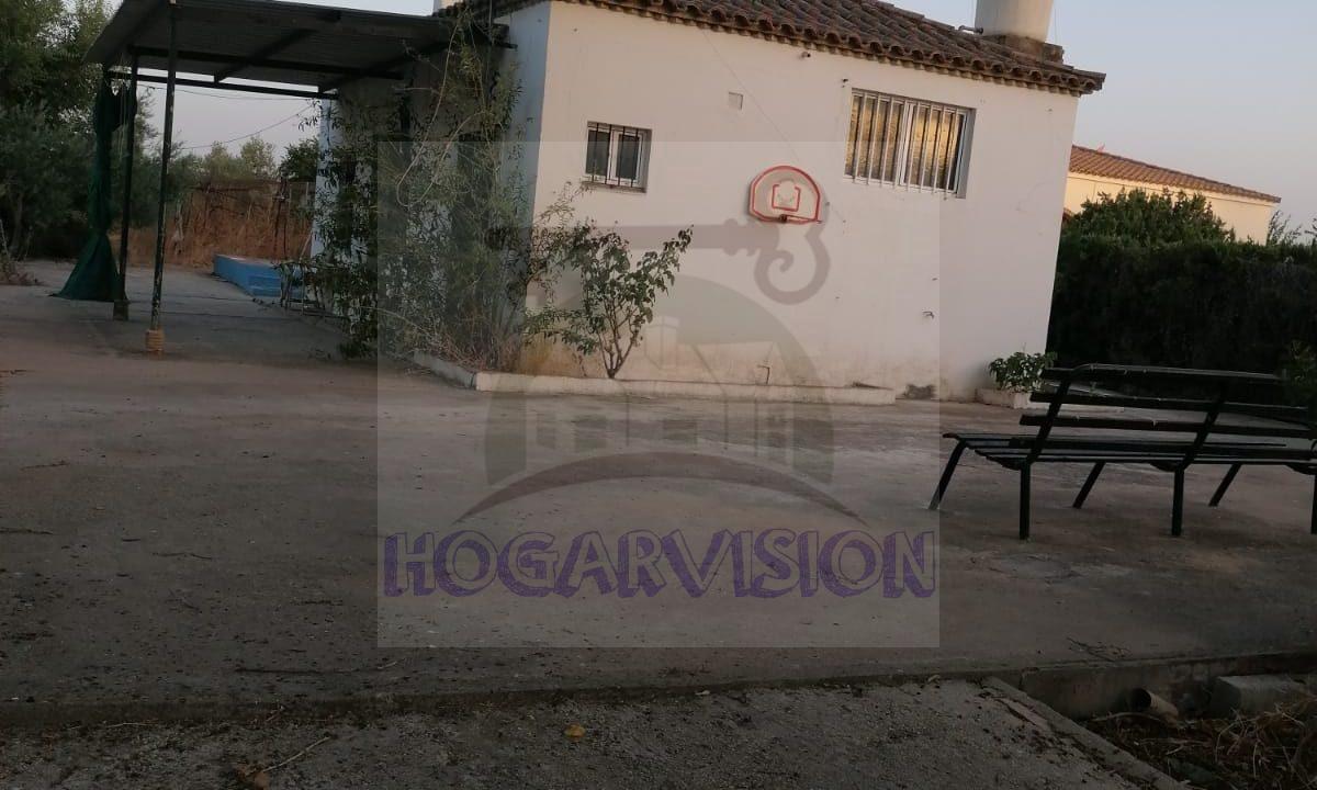 WhatsApp Image 2022-08-11 at 9.09.01 PM (3)