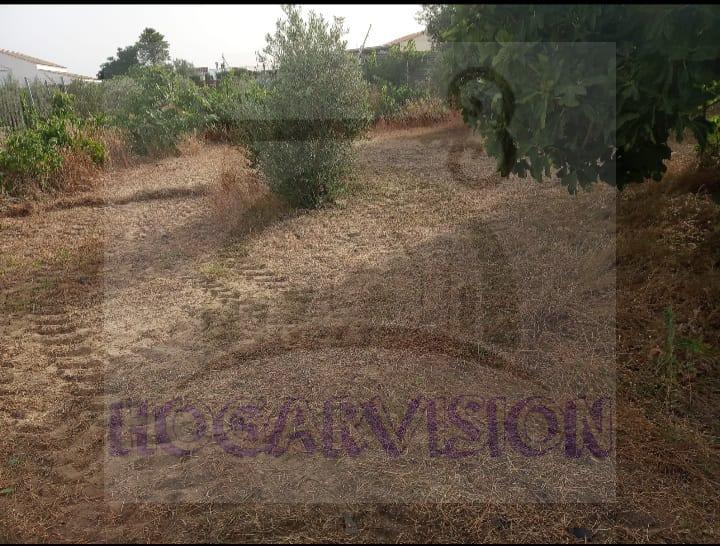 WhatsApp Image 2022-08-11 at 9.09.51 PM (1)