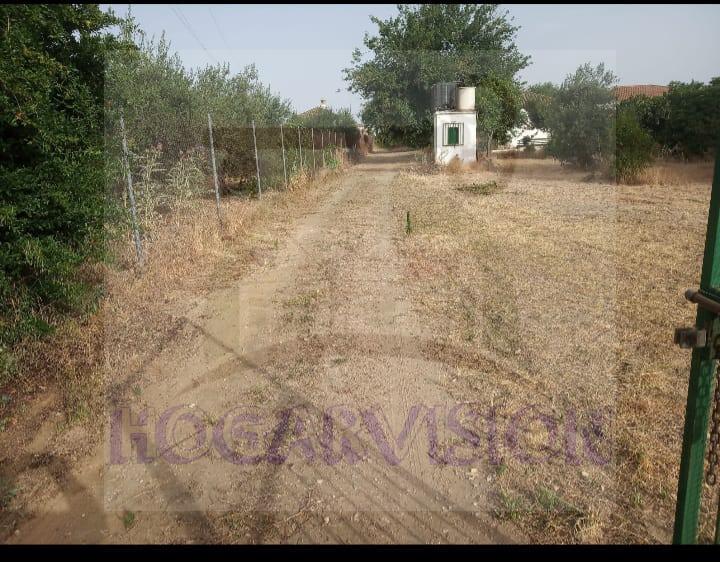 WhatsApp Image 2022-08-11 at 9.09.52 PM (1)