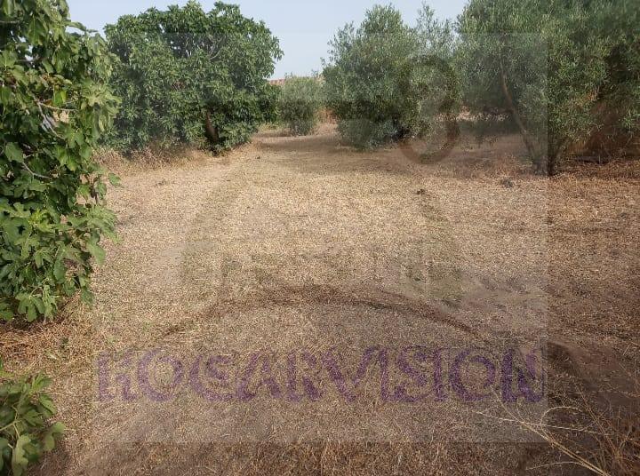 WhatsApp Image 2022-08-11 at 9.09.52 PM