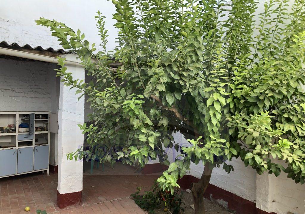 Patio exterior en casa económica en calle Granada de La Puebla de Cazalla