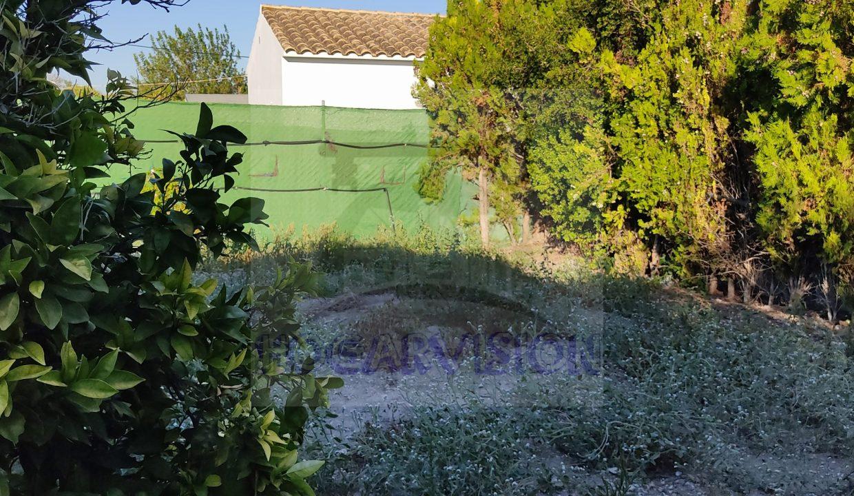 Huerto en chalet en el Manantial