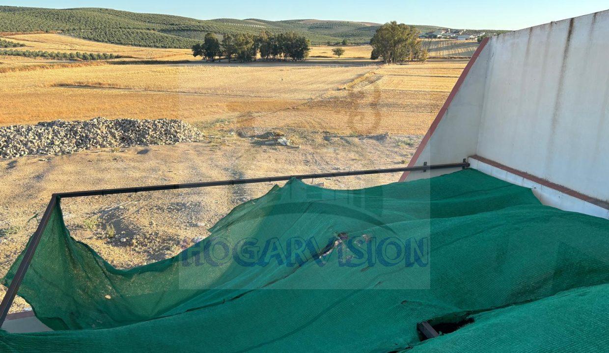 WhatsApp Image 2024-07-16 at 09.20.15