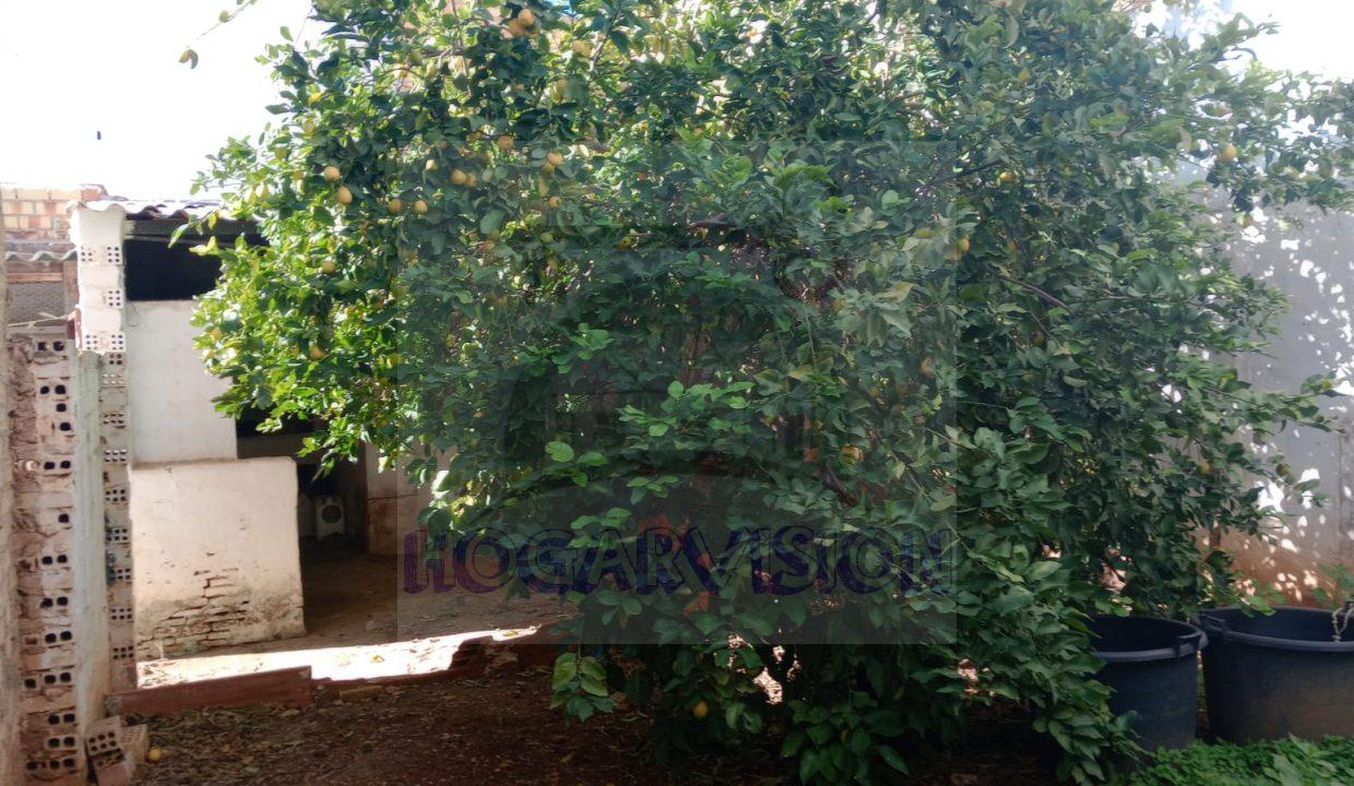 Casa con gran corral en La Puebla de Cazalla