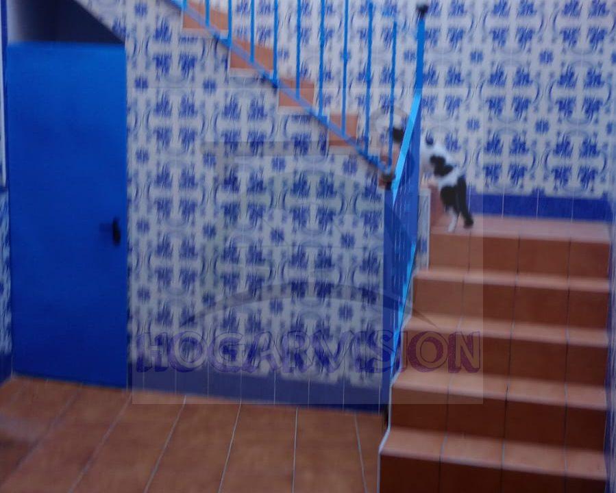 IMG-20240113-WA0022