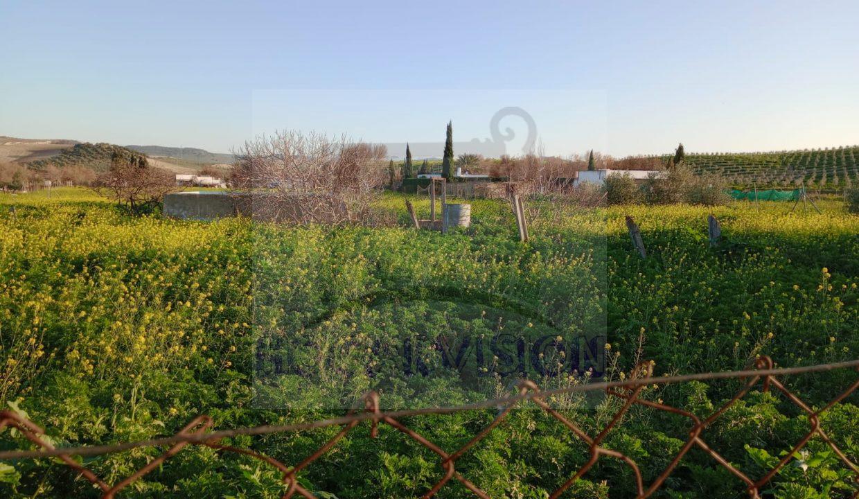 Se vende parcela en La Puebla de Cazalla