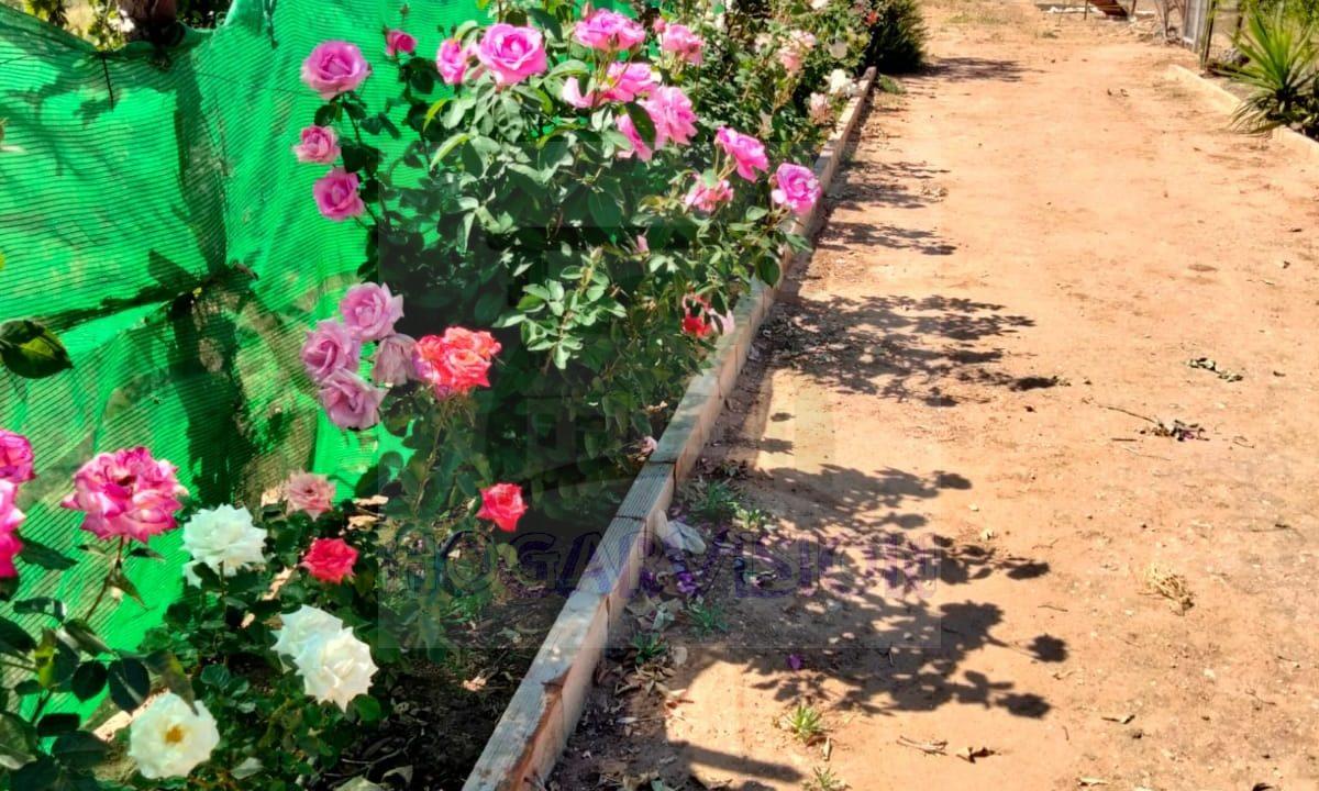 WhatsApp Image 2024-02-20 at 13.34.16