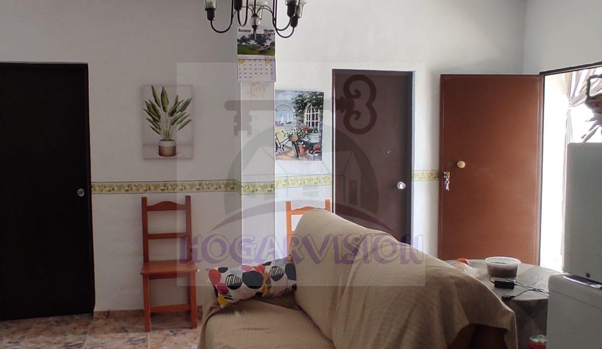 WhatsApp Image 2024-02-20 at 13.34.16 (4)