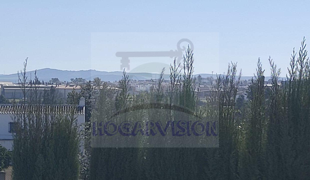 WhatsApp Image 2024-02-20 at 13.34.22 (4)