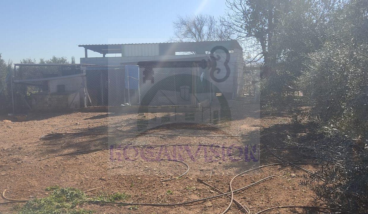 WhatsApp Image 2024-02-20 at 13.34.23 (3)