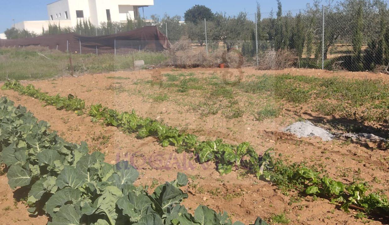 WhatsApp Image 2024-02-20 at 13.34.23 (4)