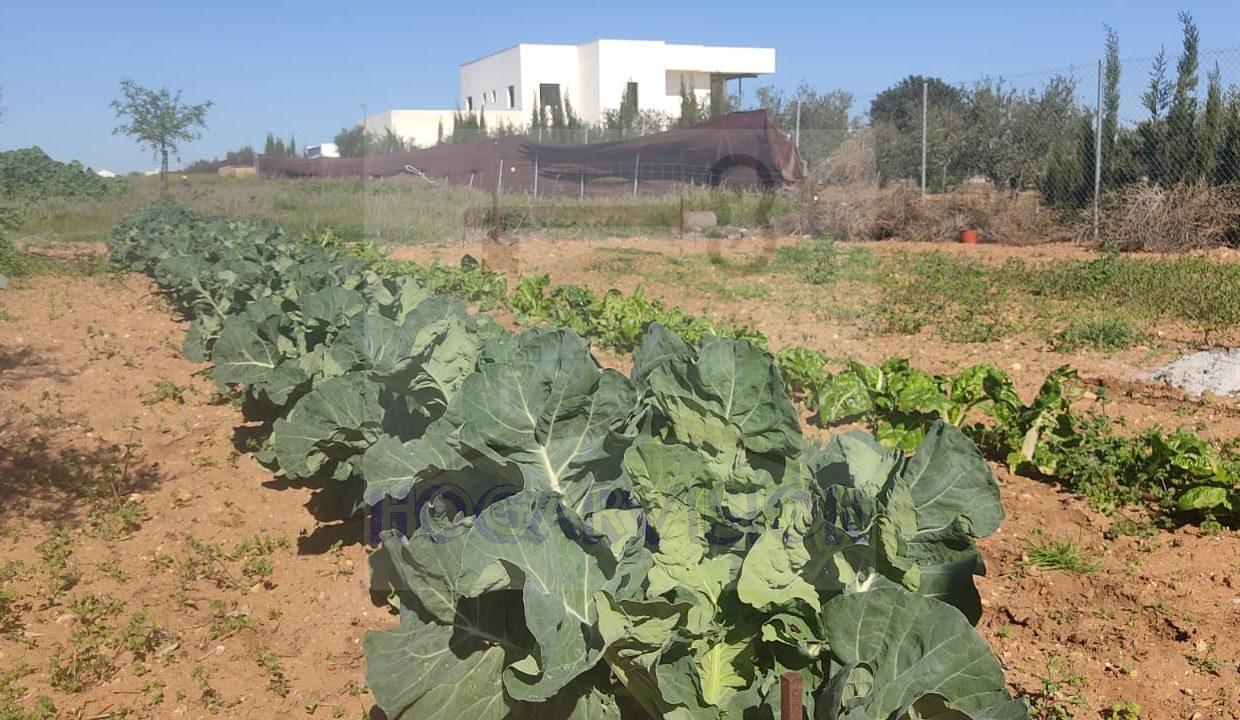 WhatsApp Image 2024-02-20 at 13.34.23 (5)