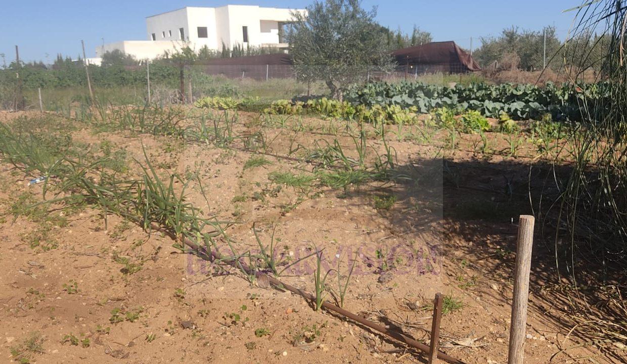 WhatsApp Image 2024-02-20 at 13.34.23 (6)