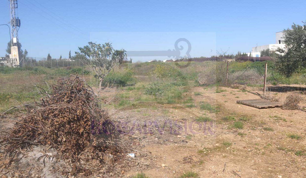 WhatsApp Image 2024-02-20 at 13.34.24 (1)