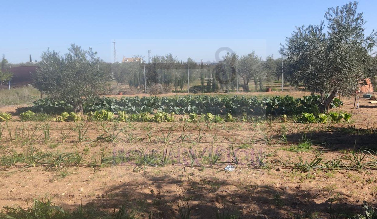 WhatsApp Image 2024-02-20 at 13.34.24