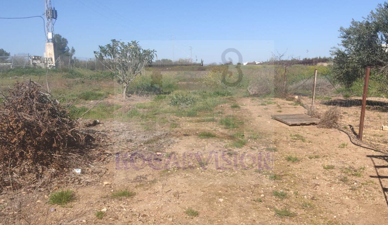 WhatsApp Image 2024-02-20 at 13.34.24 (2)