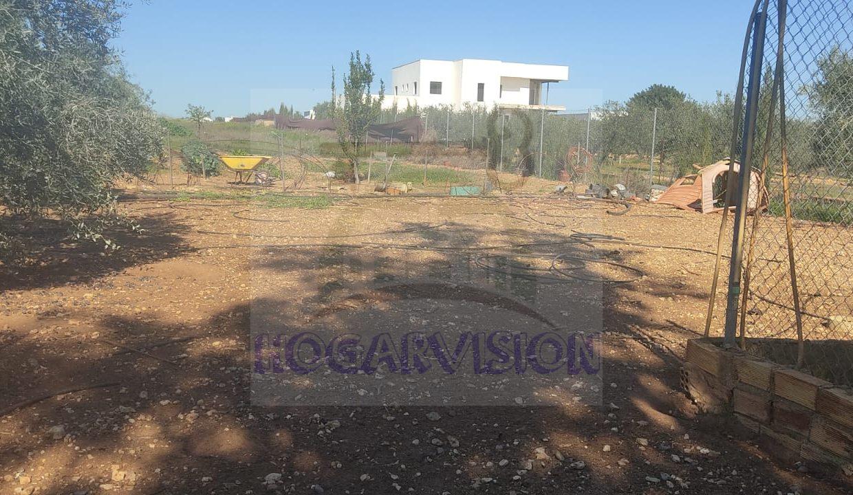 WhatsApp Image 2024-02-20 at 13.34.24 (3)