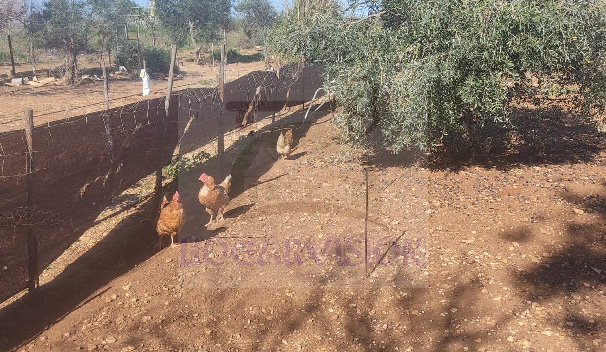 WhatsApp Image 2024-02-20 at 13.34.24 (4)