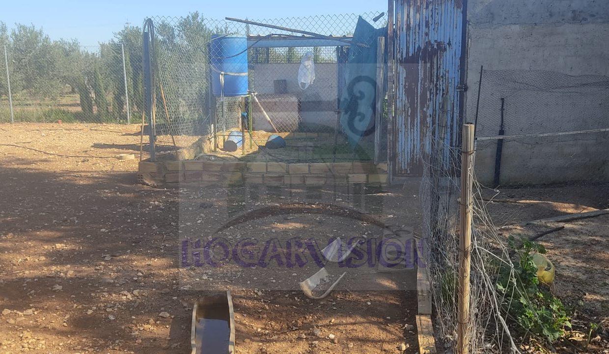 WhatsApp Image 2024-02-20 at 13.34.24 (5)