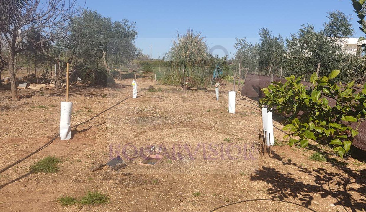 WhatsApp Image 2024-02-20 at 13.34.25 (1)