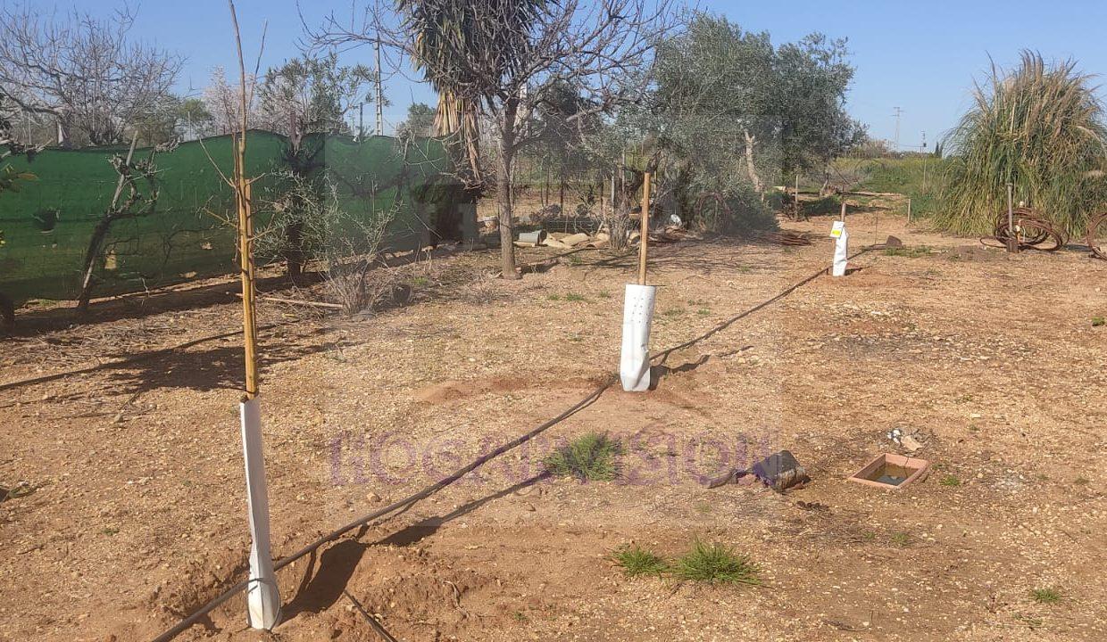 Se vende chalet con piscina en La Puebla de Cazalla