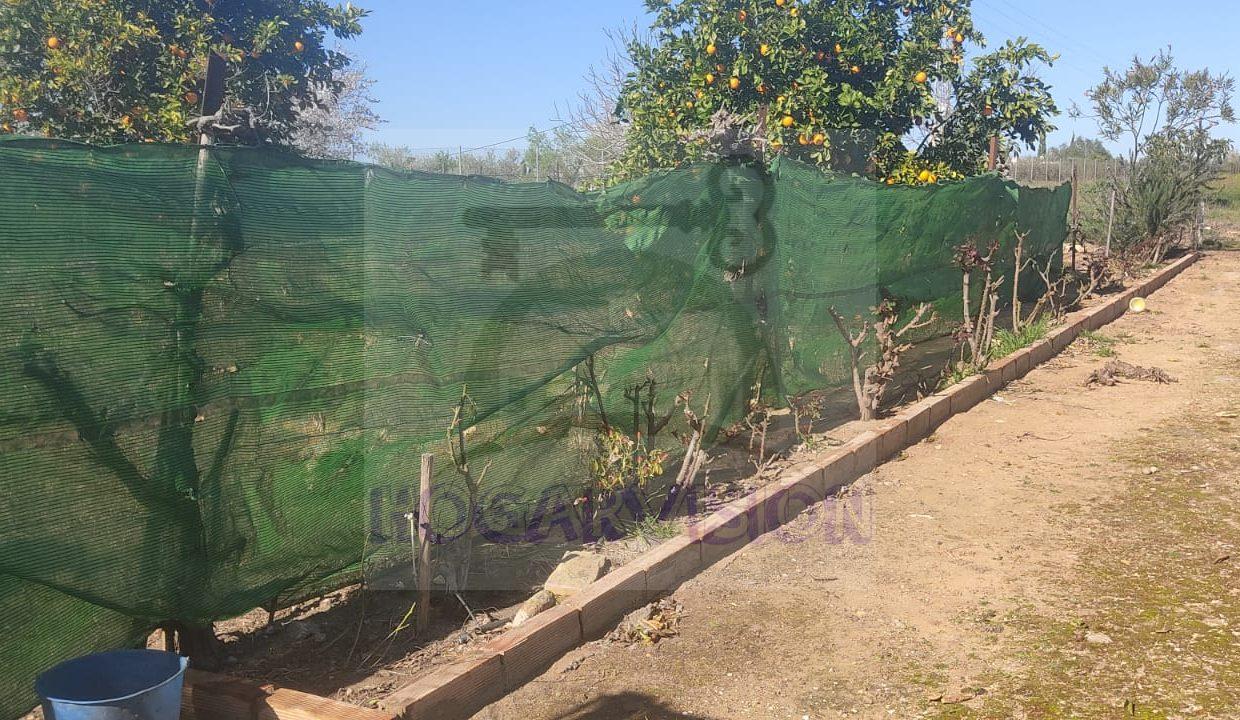 WhatsApp Image 2024-02-20 at 13.34.26