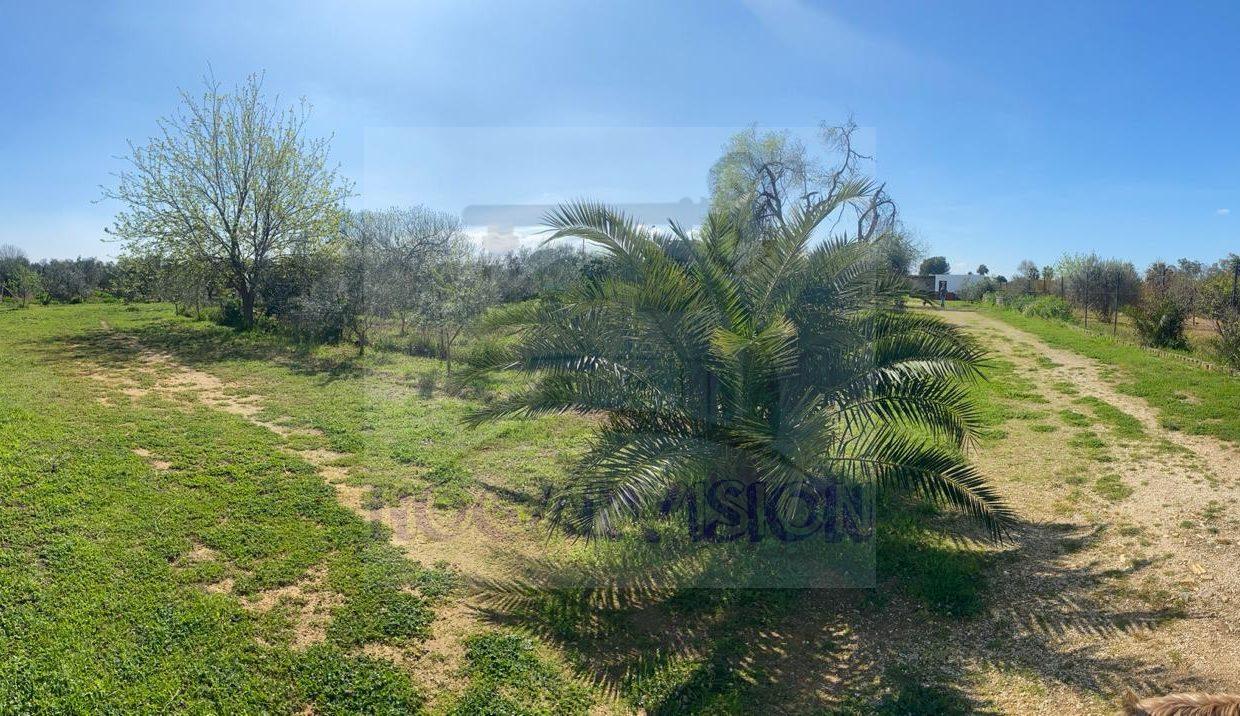 Chalet en venta El Pino