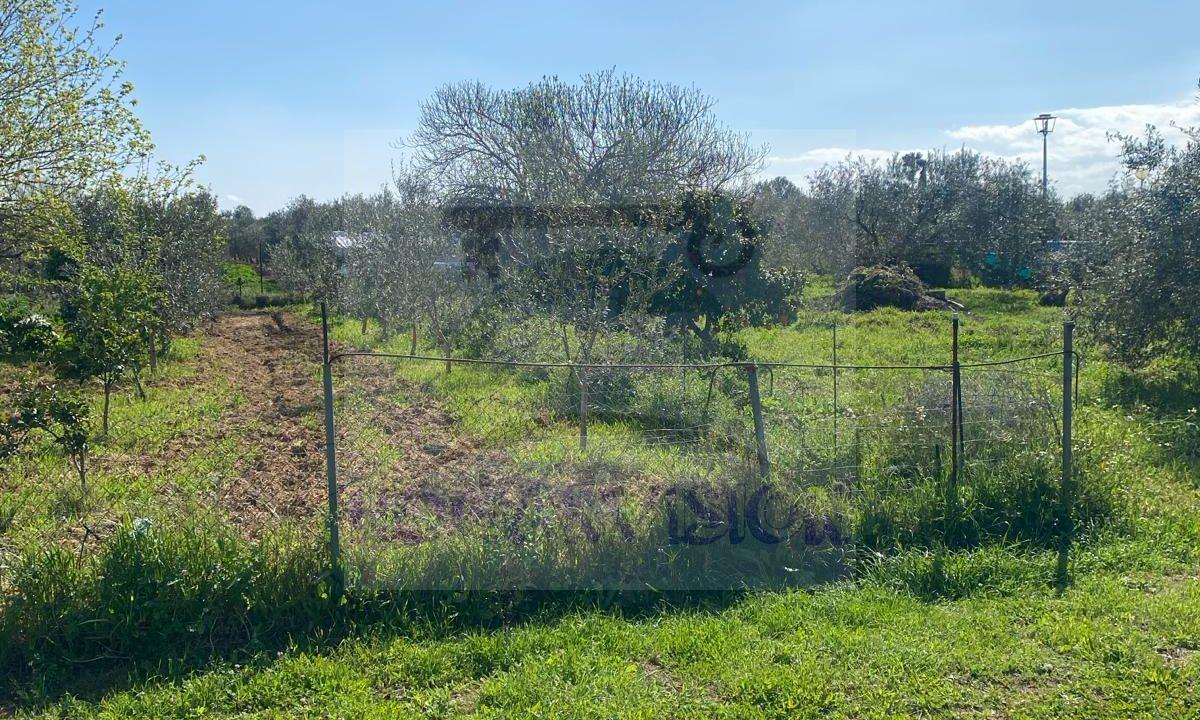 Se vende chalet en venta El Pino