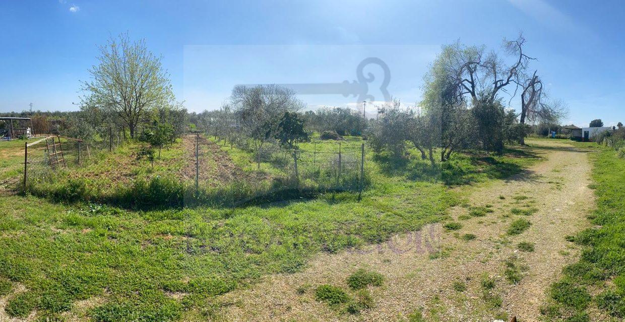 Se vende chalet económico en venta El Pino