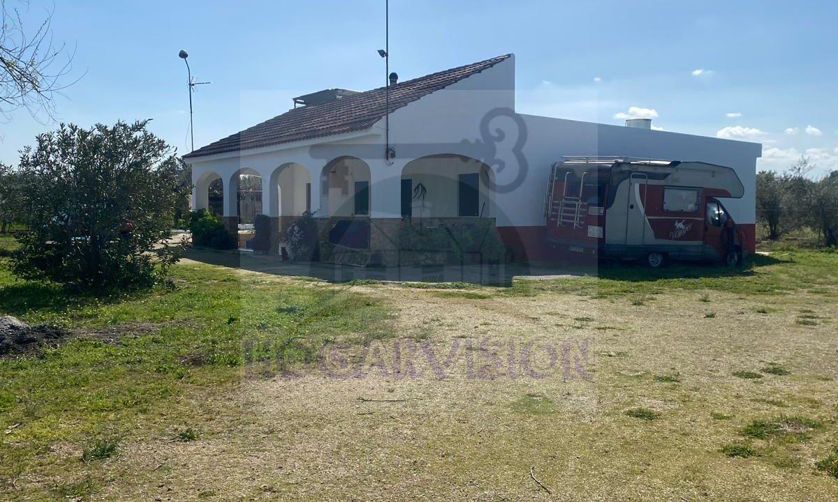 WhatsApp Image 2024-03-14 at 12.33.16