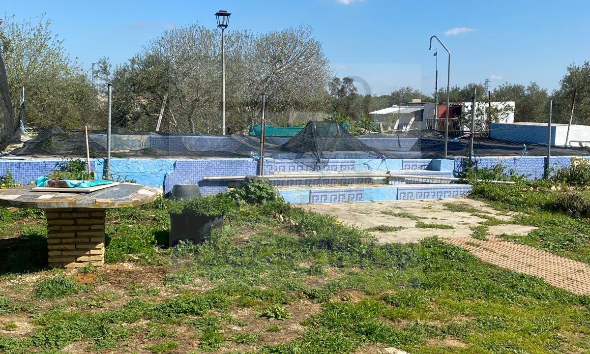 WhatsApp Image 2024-03-14 at 12.33.19 (1)