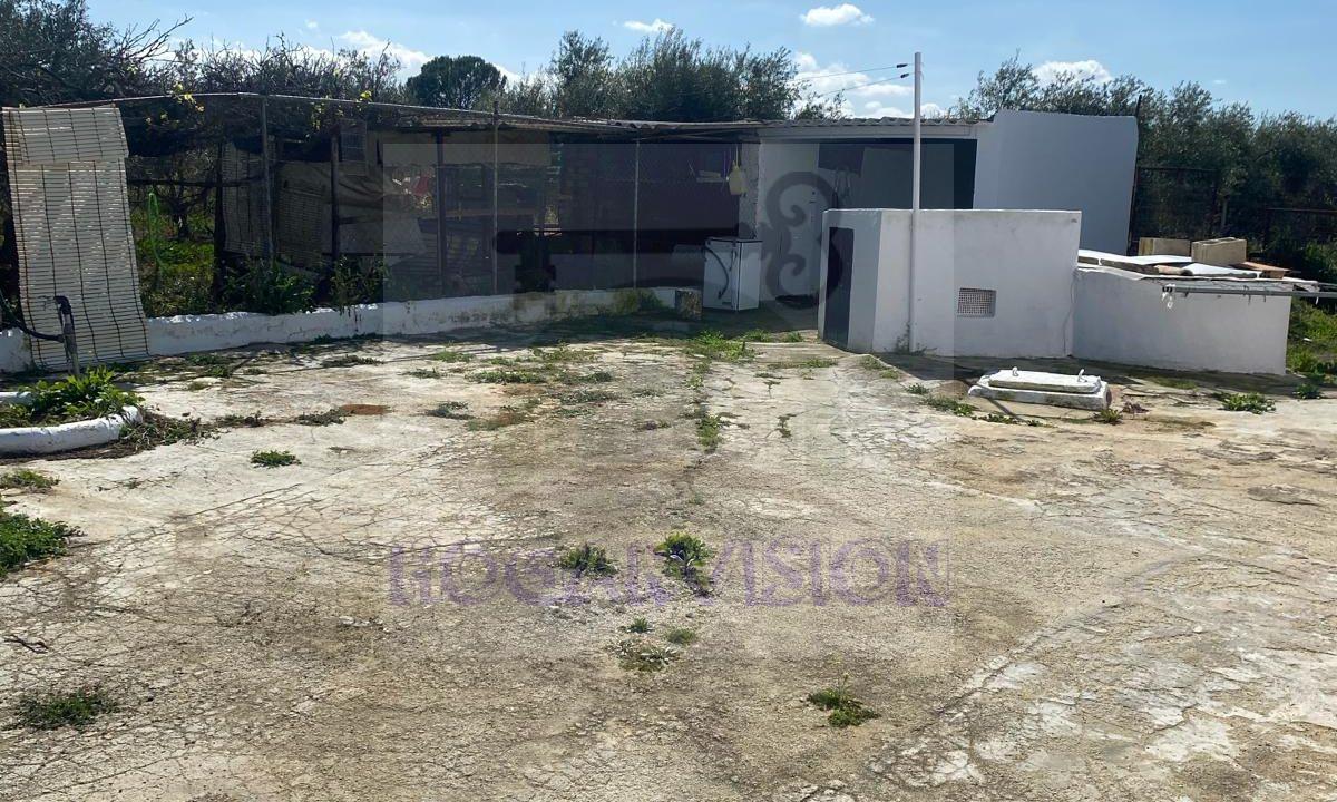 WhatsApp Image 2024-03-14 at 12.33.43 (3)