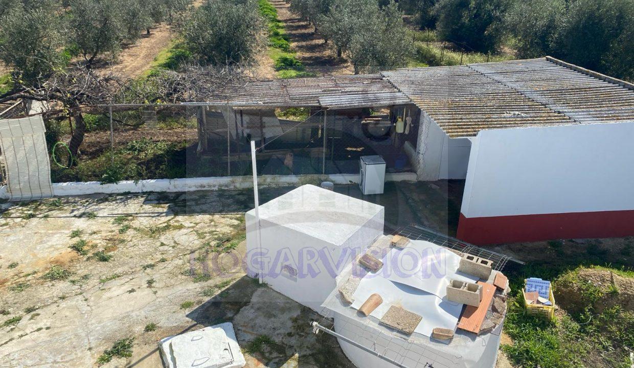 WhatsApp Image 2024-03-14 at 12.33.43 (7)