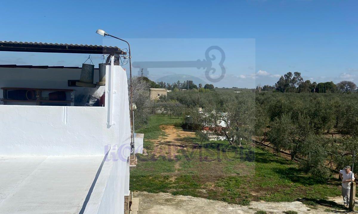 WhatsApp Image 2024-03-14 at 12.33.44