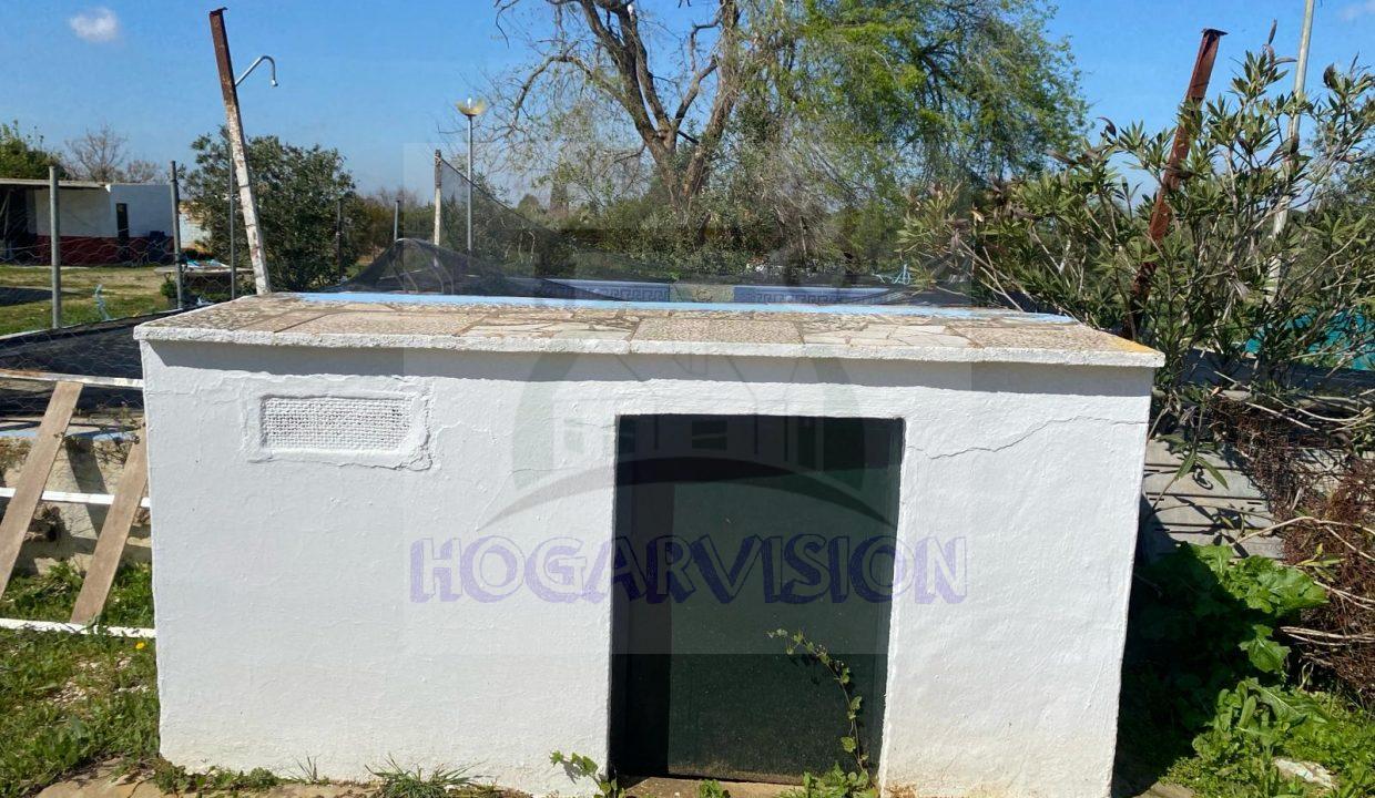 WhatsApp Image 2024-03-14 at 12.33.45 (1)