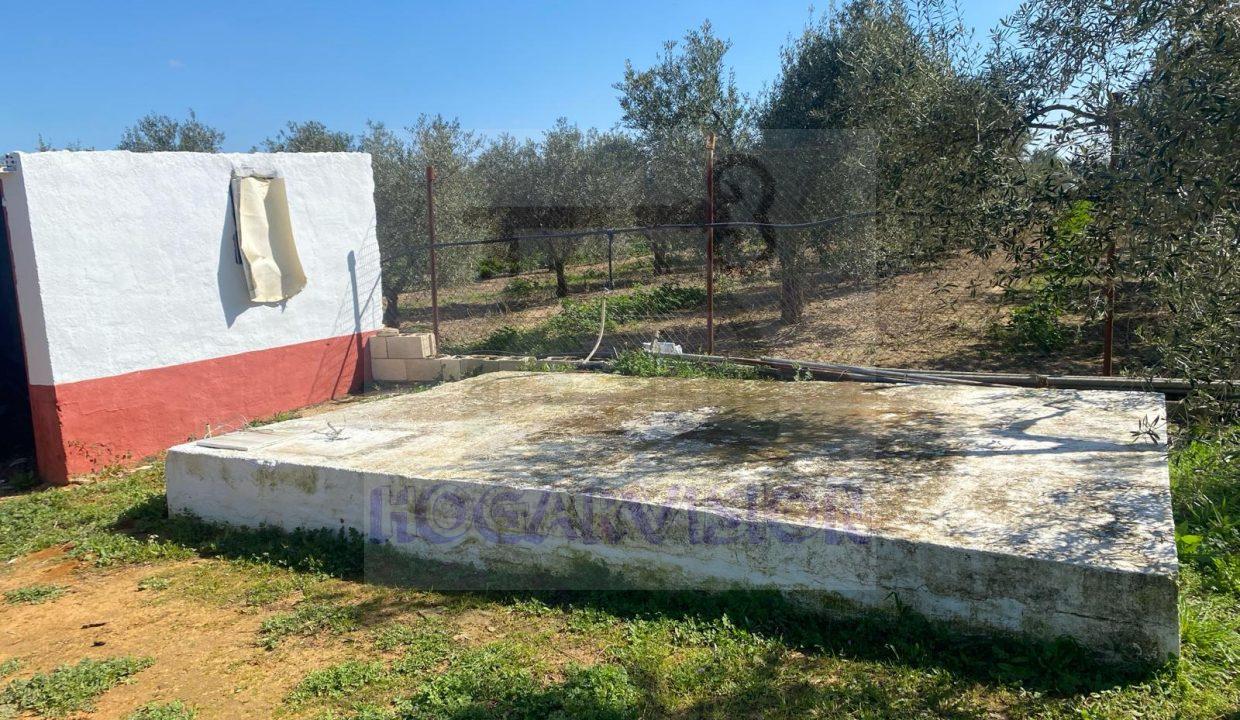 WhatsApp Image 2024-03-14 at 12.33.45 (2)