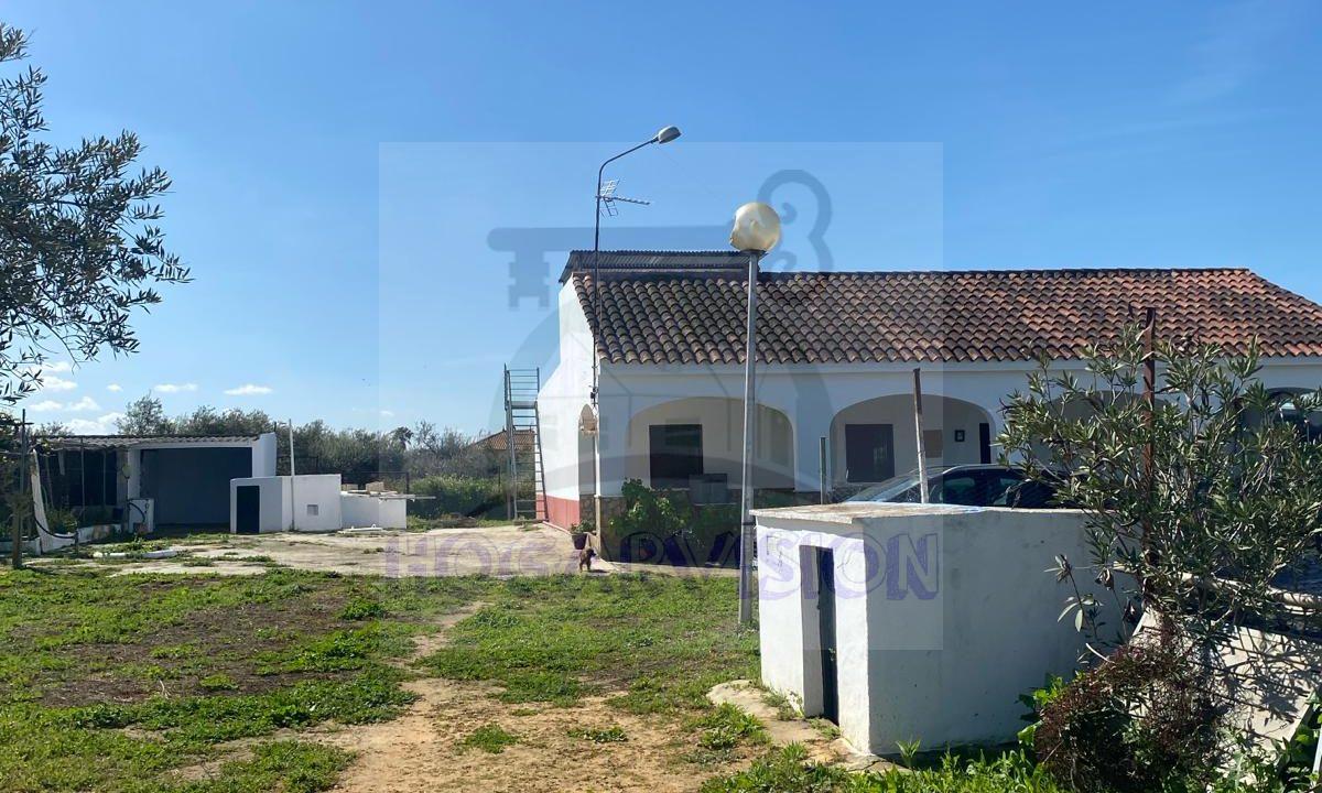 WhatsApp Image 2024-03-14 at 12.33.45 (3)