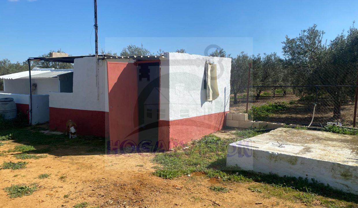 WhatsApp Image 2024-03-14 at 12.34.02 (1)