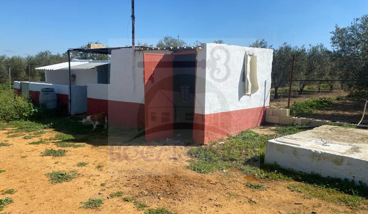 WhatsApp Image 2024-03-14 at 12.34.02 (2)