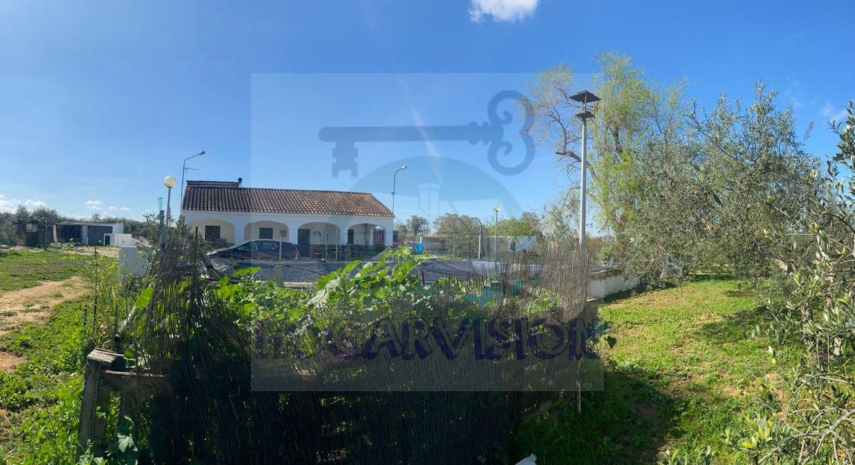 WhatsApp Image 2024-03-14 at 12.34.02 (4)