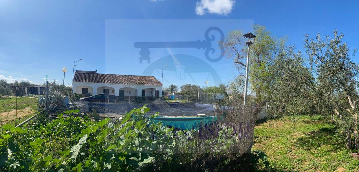 WhatsApp Image 2024-03-14 at 12.34.02 (5)