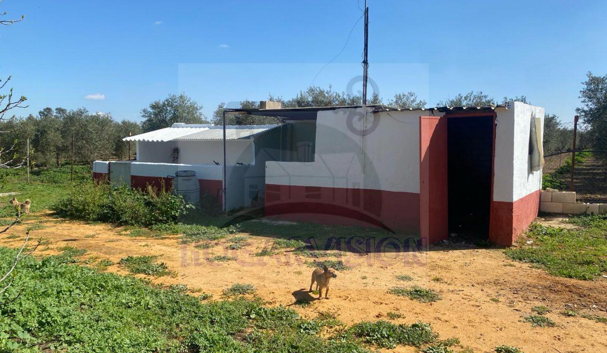 WhatsApp Image 2024-03-14 at 12.34.02 (6)