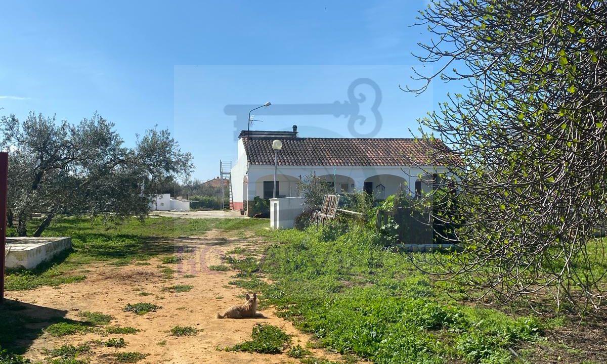 WhatsApp Image 2024-03-14 at 12.34.02 (7)