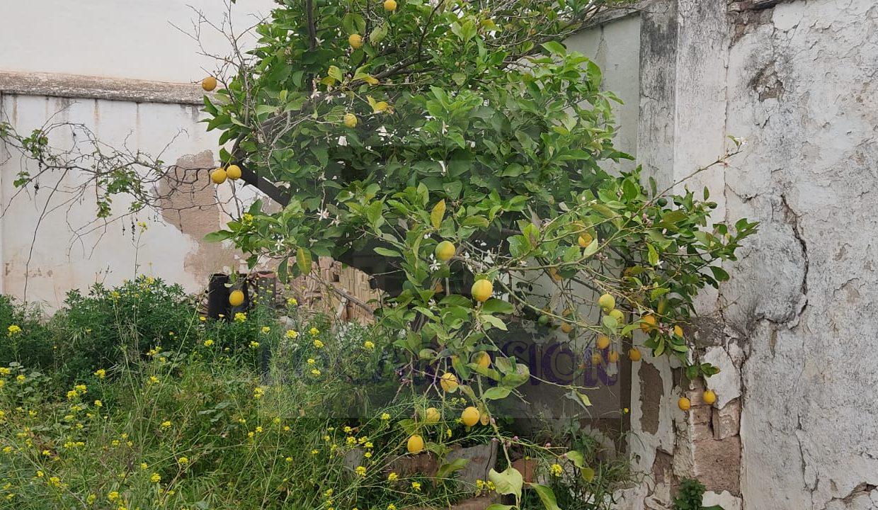 WhatsApp Image 2024-03-23 at 11.47.19