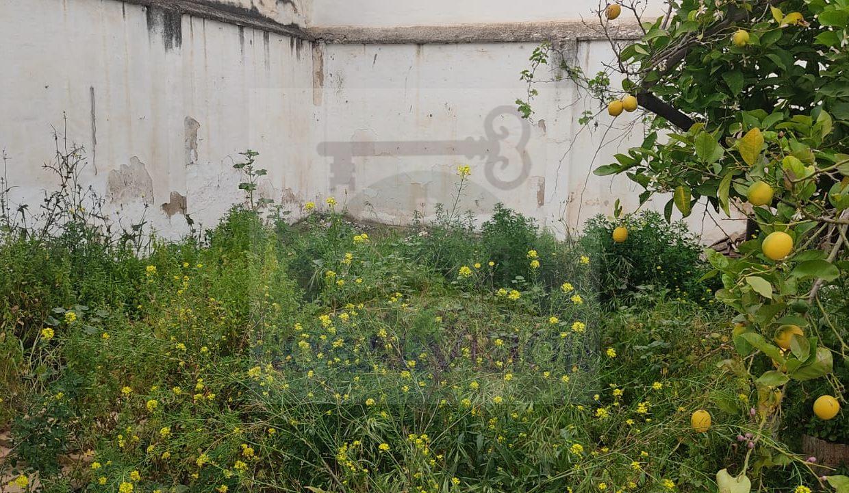 WhatsApp Image 2024-03-23 at 11.47.20