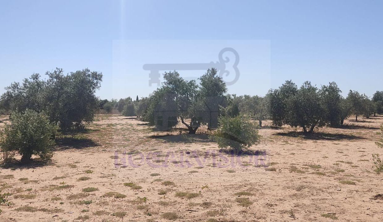 IMG-20240423-WA0052