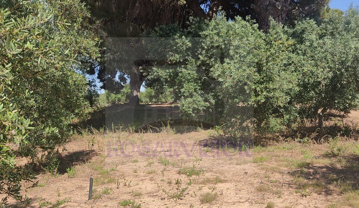 IMG-20240423-WA0056