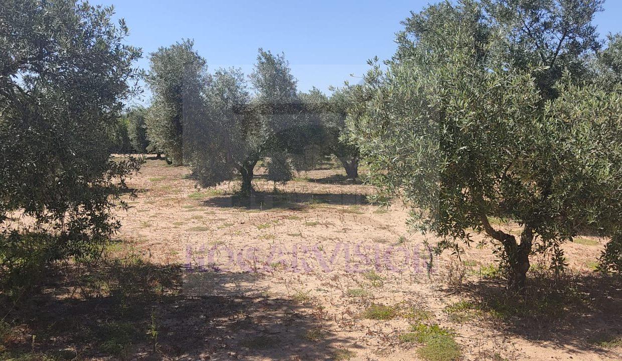 IMG-20240423-WA0069