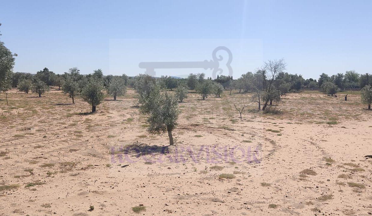 IMG-20240423-WA0076